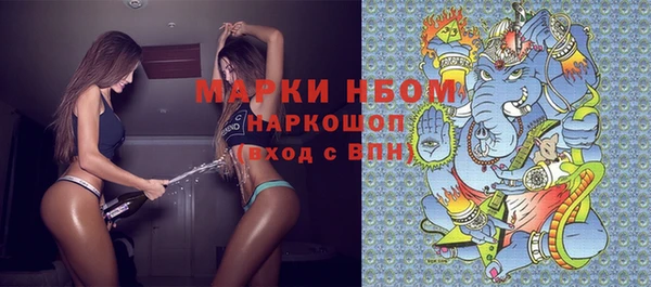 шишки Краснослободск