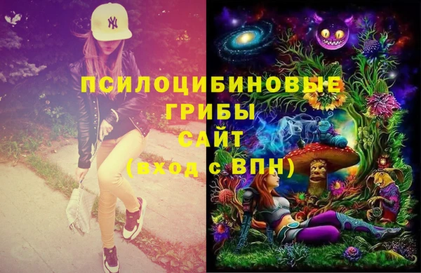 кокс Баксан