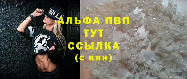кокс Баксан